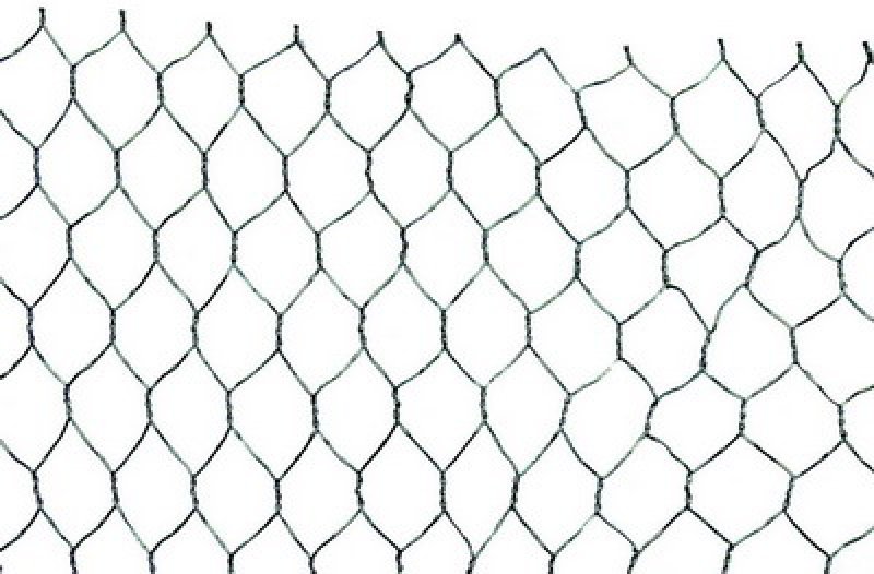 Hønsehegn 25 mm – 0,8 mm, 1×50 m (galvaniseret)